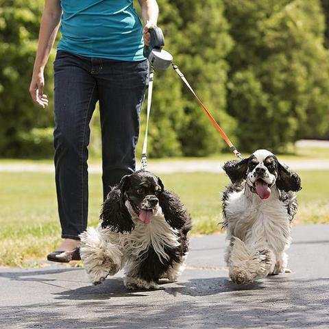 Furvana's Double Headed 360 Degree Swivel Dual Dog Leash with LED flashlight!